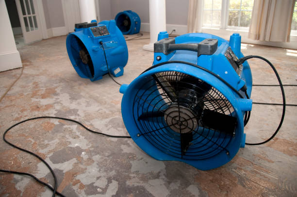 Best Water damage cleanup near me  in Village Green Green Ridge, PA
